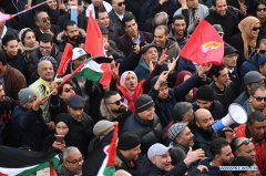 Over 750,000 Tunisian civil servants participate in general strike in Tunisia