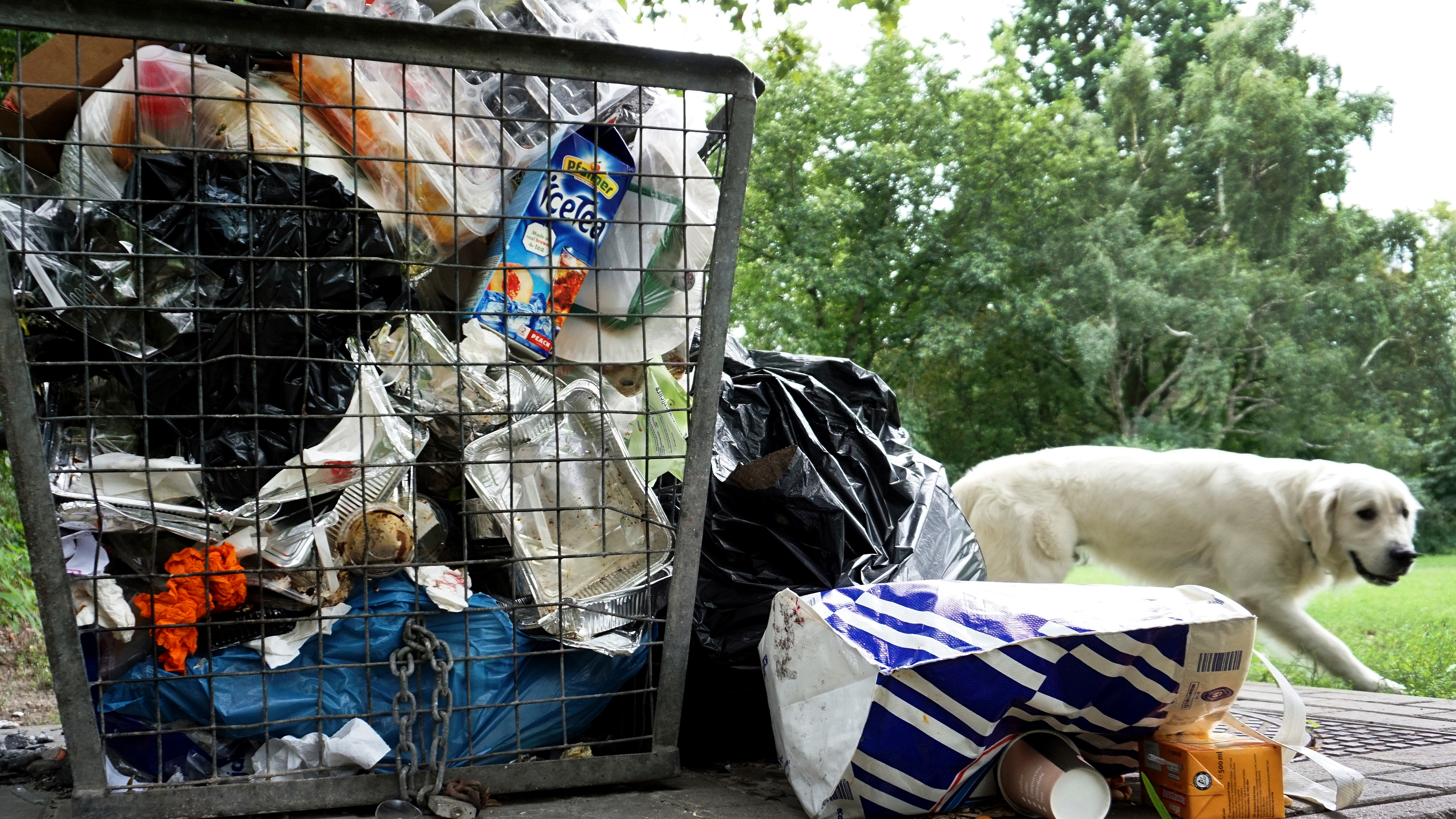 Germany moves to reduce plastic pollution with nationwide bag ban from 2022