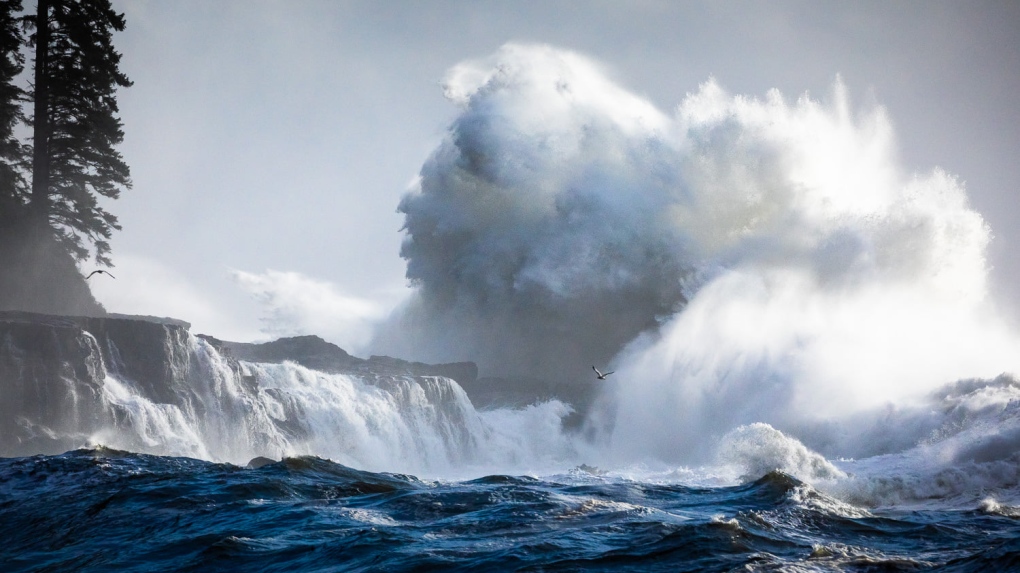 Wind warnings in effect for Vancouver Island