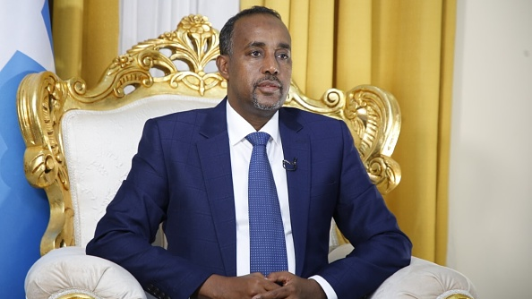 Somali PM appoints new minister for foreign affairs